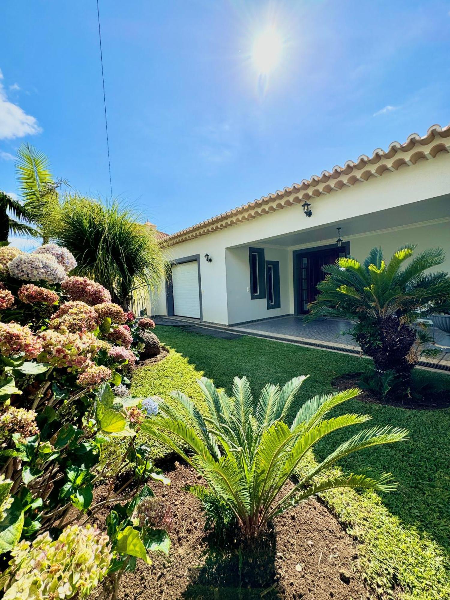 Casa Conduto Guest House Ponta do Sol  Bagian luar foto